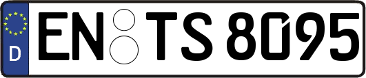 EN-TS8095