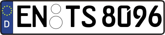 EN-TS8096