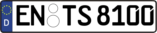 EN-TS8100