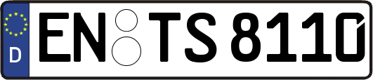 EN-TS8110