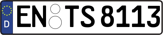 EN-TS8113