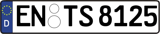 EN-TS8125
