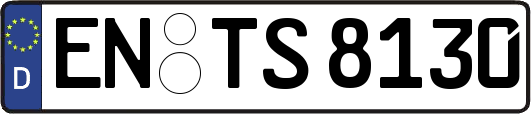 EN-TS8130