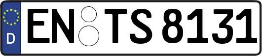 EN-TS8131