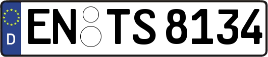 EN-TS8134