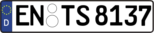 EN-TS8137