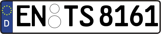 EN-TS8161
