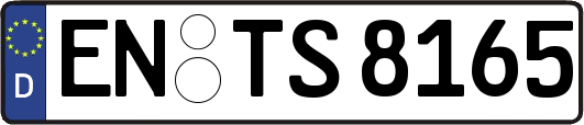 EN-TS8165
