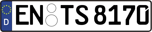 EN-TS8170