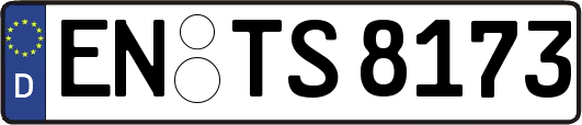 EN-TS8173