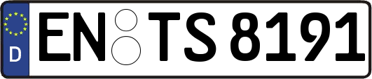 EN-TS8191