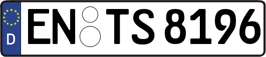 EN-TS8196