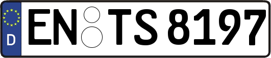 EN-TS8197