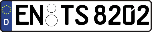 EN-TS8202
