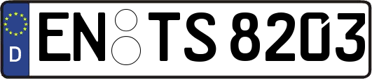 EN-TS8203
