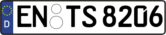 EN-TS8206