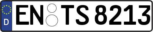 EN-TS8213