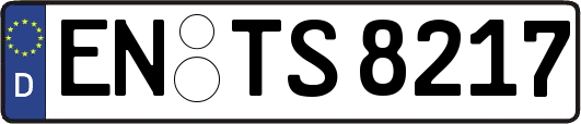 EN-TS8217