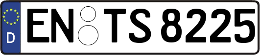 EN-TS8225