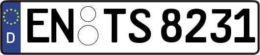 EN-TS8231