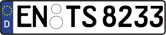 EN-TS8233