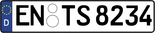 EN-TS8234