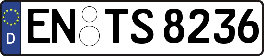 EN-TS8236