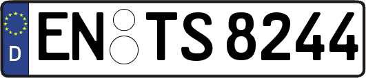 EN-TS8244