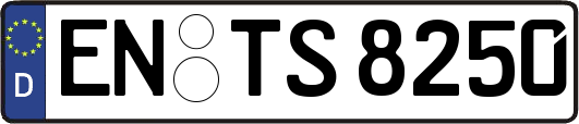EN-TS8250
