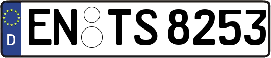 EN-TS8253