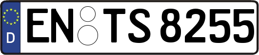 EN-TS8255
