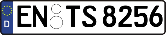 EN-TS8256