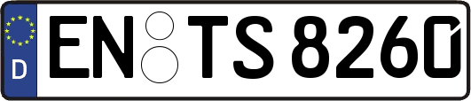EN-TS8260
