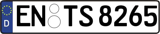 EN-TS8265