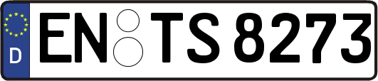 EN-TS8273