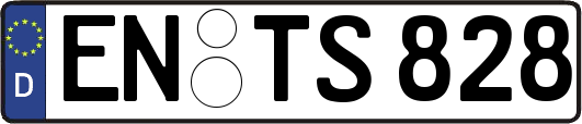 EN-TS828