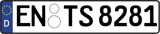 EN-TS8281