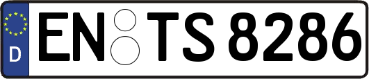 EN-TS8286