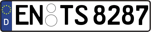 EN-TS8287