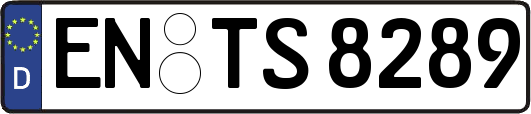 EN-TS8289