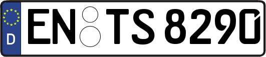 EN-TS8290