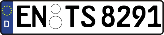 EN-TS8291