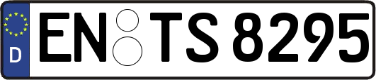 EN-TS8295