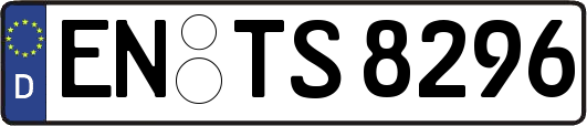 EN-TS8296