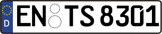 EN-TS8301