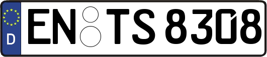 EN-TS8308