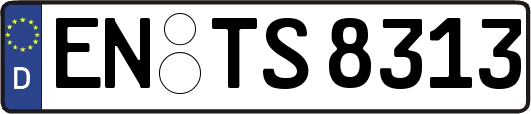 EN-TS8313