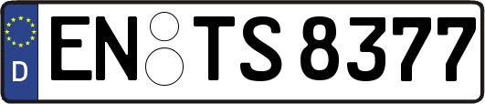 EN-TS8377