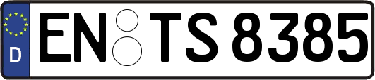 EN-TS8385
