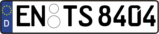 EN-TS8404